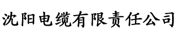 麻花天美星空电缆厂logo